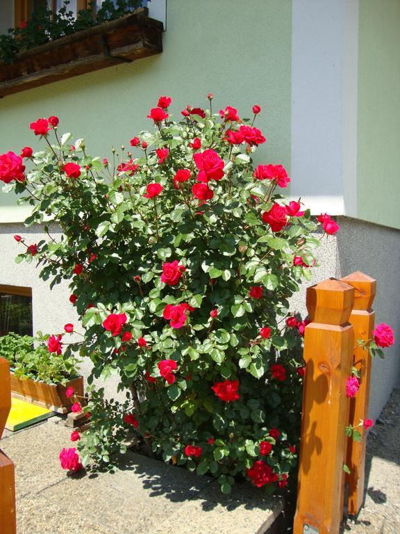 Gruberbauer Remsach Daire Bad Gastein Dış mekan fotoğraf